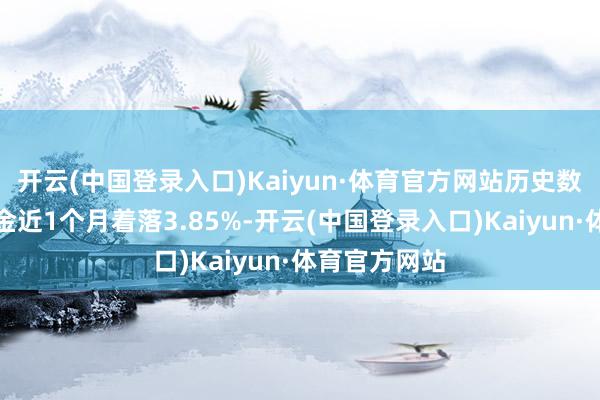 开云(中国登录入口)Kaiyun·体育官方网站历史数据深入该基金近1个月着落3.85%-开云(中国登录入口)Kaiyun·体育官方网站