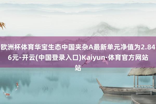 欧洲杯体育华宝生态中国夹杂A最新单元净值为2.846元-开云(中国登录入口)Kaiyun·体育官方网站