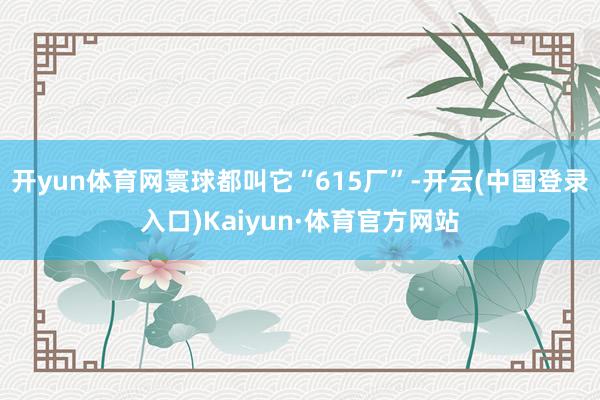 开yun体育网寰球都叫它“615厂”-开云(中国登录入口)Kaiyun·体育官方网站