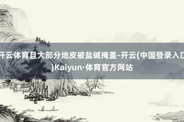 开云体育且大部分地皮被盐碱掩盖-开云(中国登录入口)Kaiyun·体育官方网站