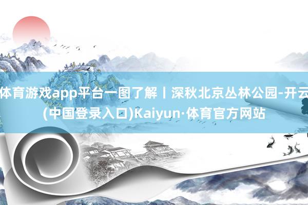 体育游戏app平台一图了解丨深秋北京丛林公园-开云(中国登录入口)Kaiyun·体育官方网站