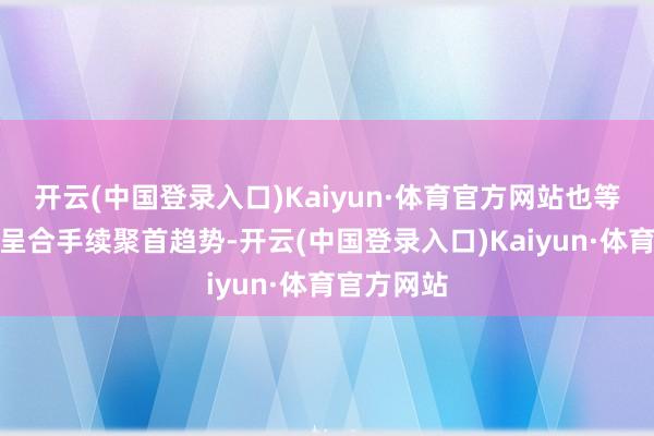 开云(中国登录入口)Kaiyun·体育官方网站也等于说筹码呈合手续聚首趋势-开云(中国登录入口)Kaiyun·体育官方网站